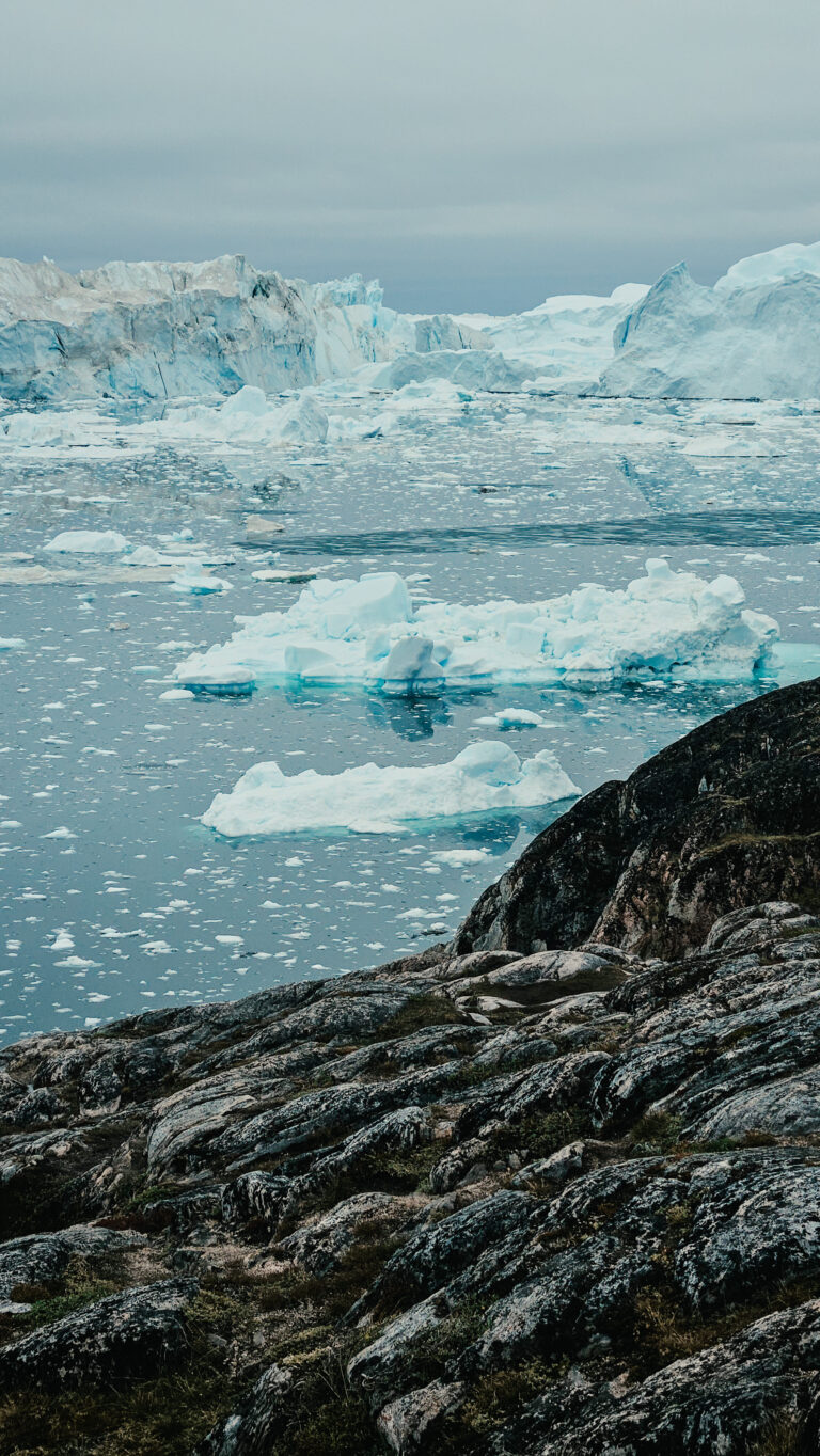 IceFjord w Illulisat widziany od strony osady