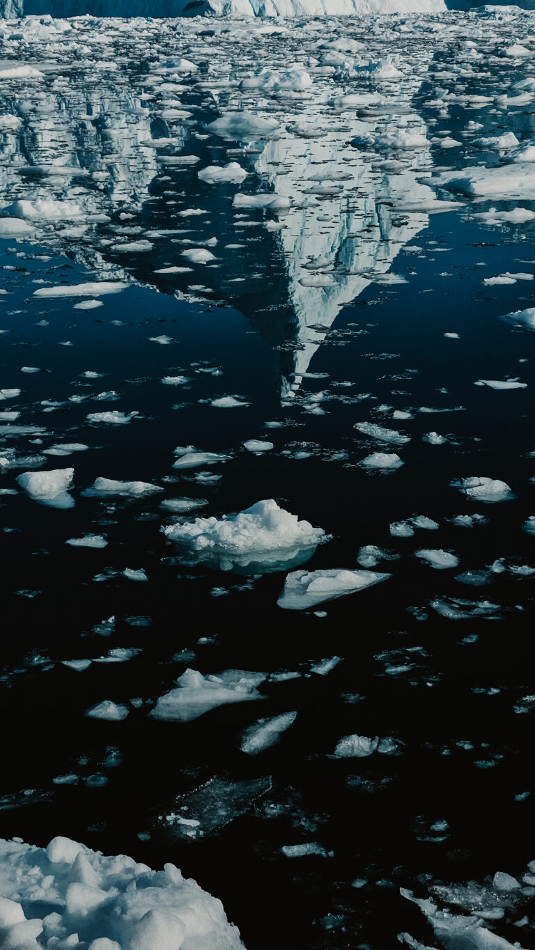 Góry lodowe w Icefjordzie