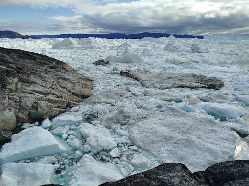 Photo from customer review