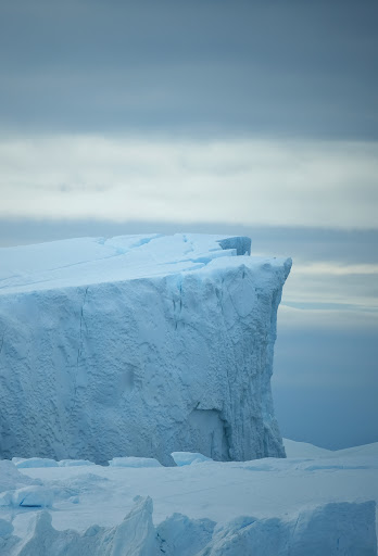 Photo from customer review