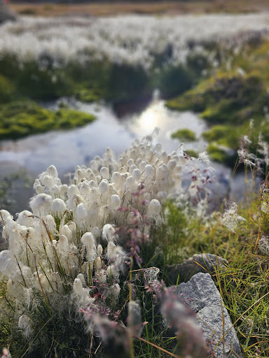 Photo from customer review