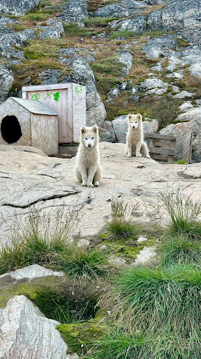 Photo from customer review