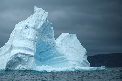 Photo from customer review