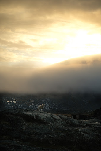 Photo from customer review