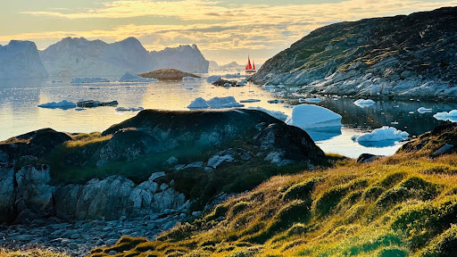 Photo from customer review