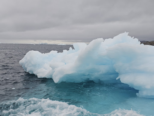 Photo from customer review