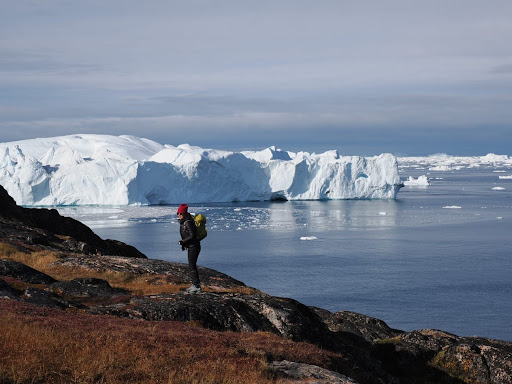 Photo from customer review