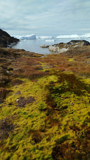 Photo from customer review