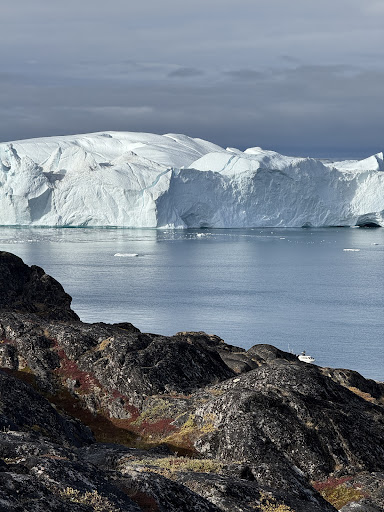 Photo from customer review