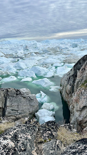 Photo from customer review