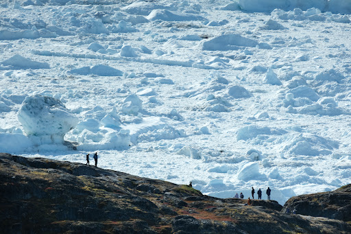 Photo from customer review