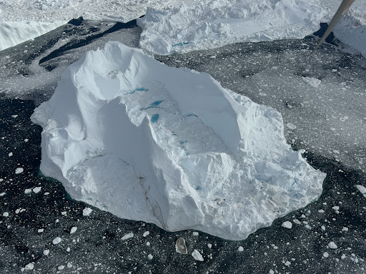 Photo from customer review