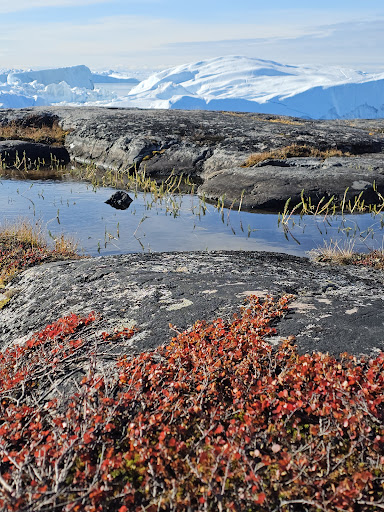 Photo from customer review