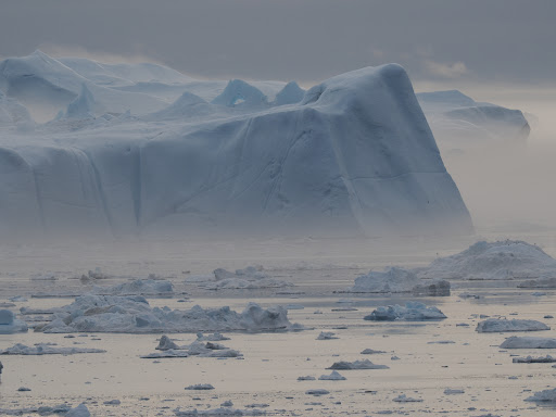 Photo from customer review