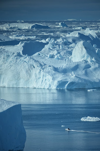 Photo from customer review