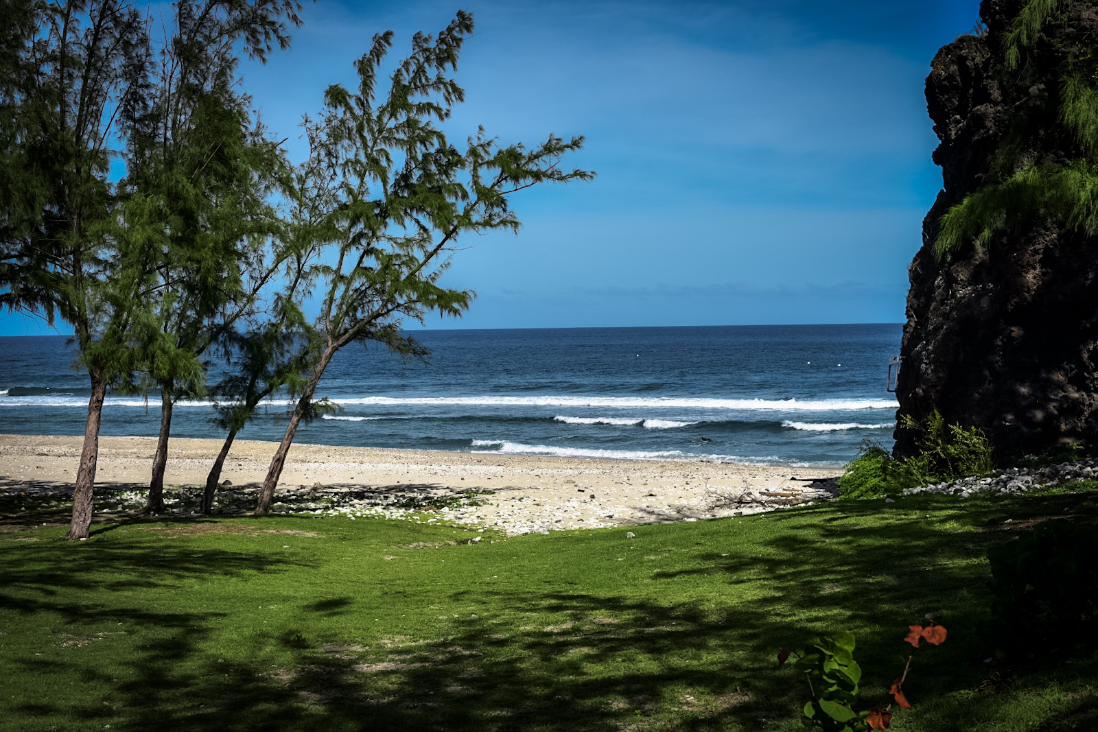 Słoneczna plaża Grande Anse na Reunion z zieloną trawą, drzewami i widokiem na fale oceanu.