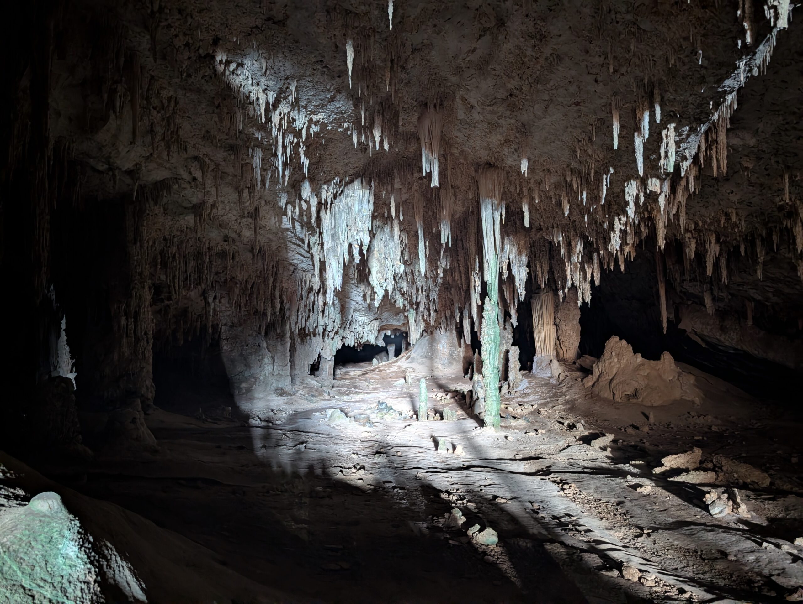 Wnętrze jaskini Hoq oświetlone sztucznym światłem, ukazujące setki stalaktytów zwisających ze sklepienia oraz formacje stalagmitów na dnie. Gra świateł i cieni podkreśla monumentalny charakter podziemnej sali.