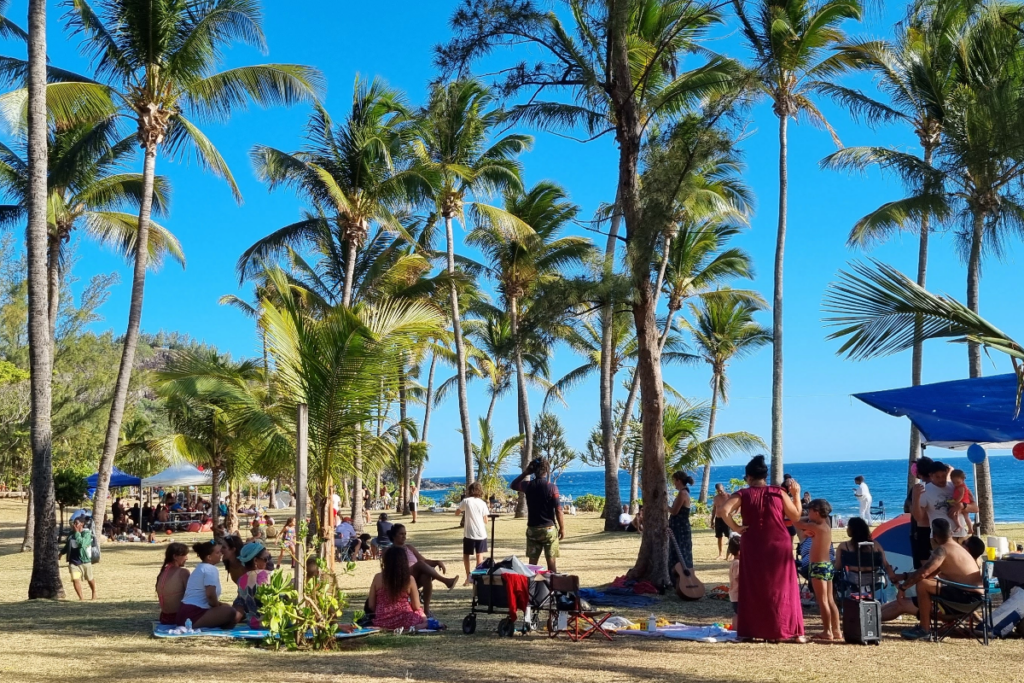 Plaza na Reunion z palmami