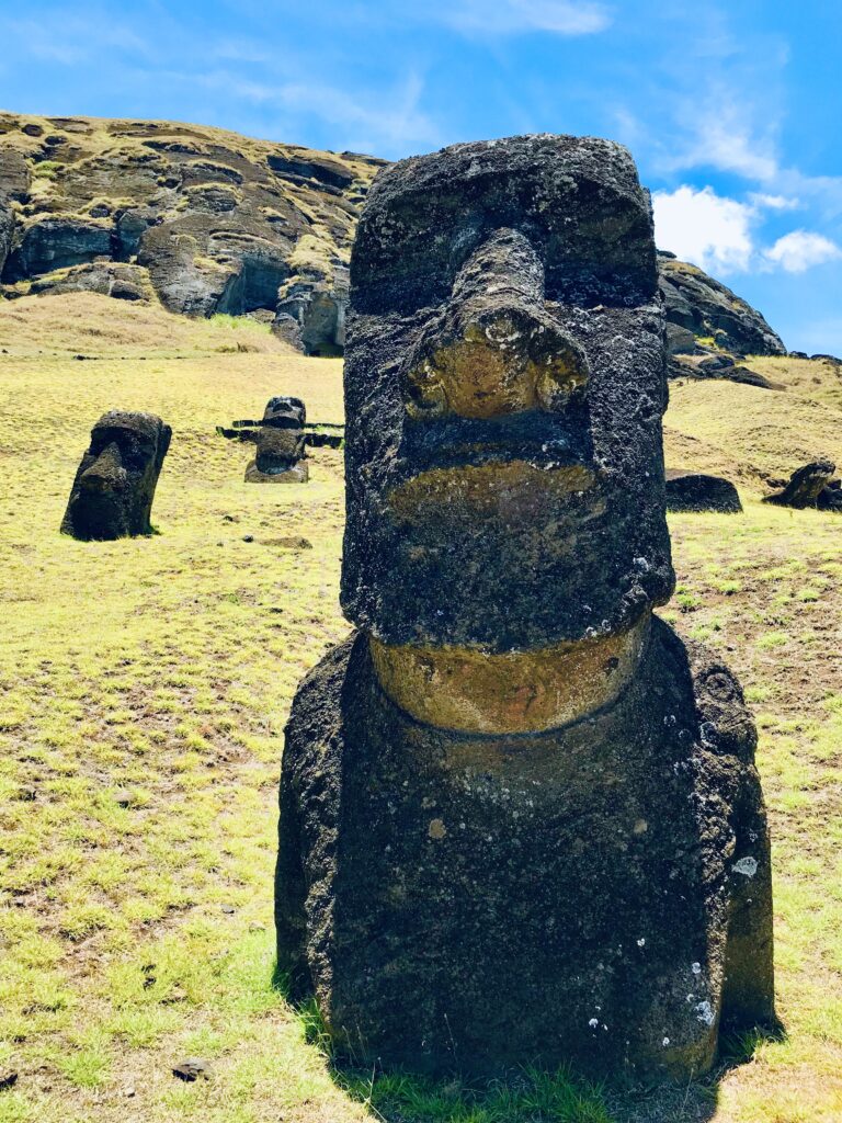 Zbliżenie na monumentalną kamienną głowę moai osadzoną w ziemi na zboczu wulkanu Rano Raraku.
