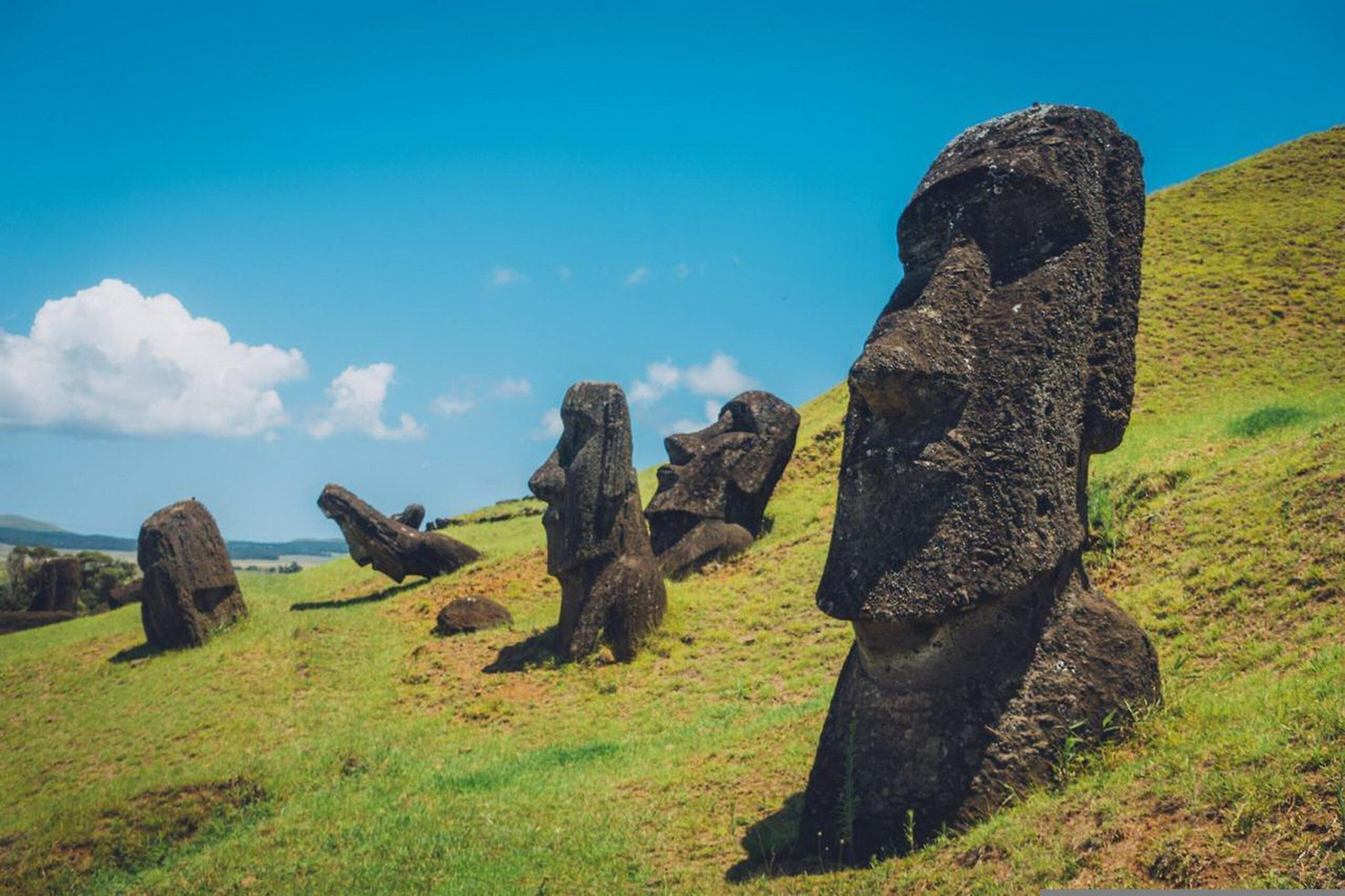 Kilka monumentalnych, kamiennych posągów Moai o charakterystycznych, wydłużonych twarzach, osadzonych w trawiastym zboczu Wyspy Wielkanocnej pod błękitnym niebem.